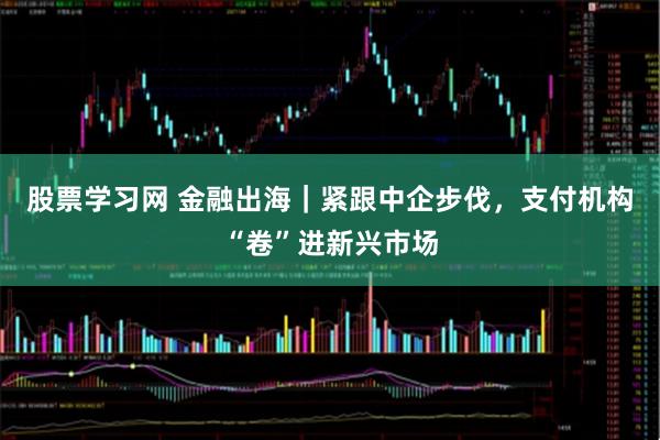 股票学习网 金融出海｜紧跟中企步伐，支付机构“卷”进新兴市场